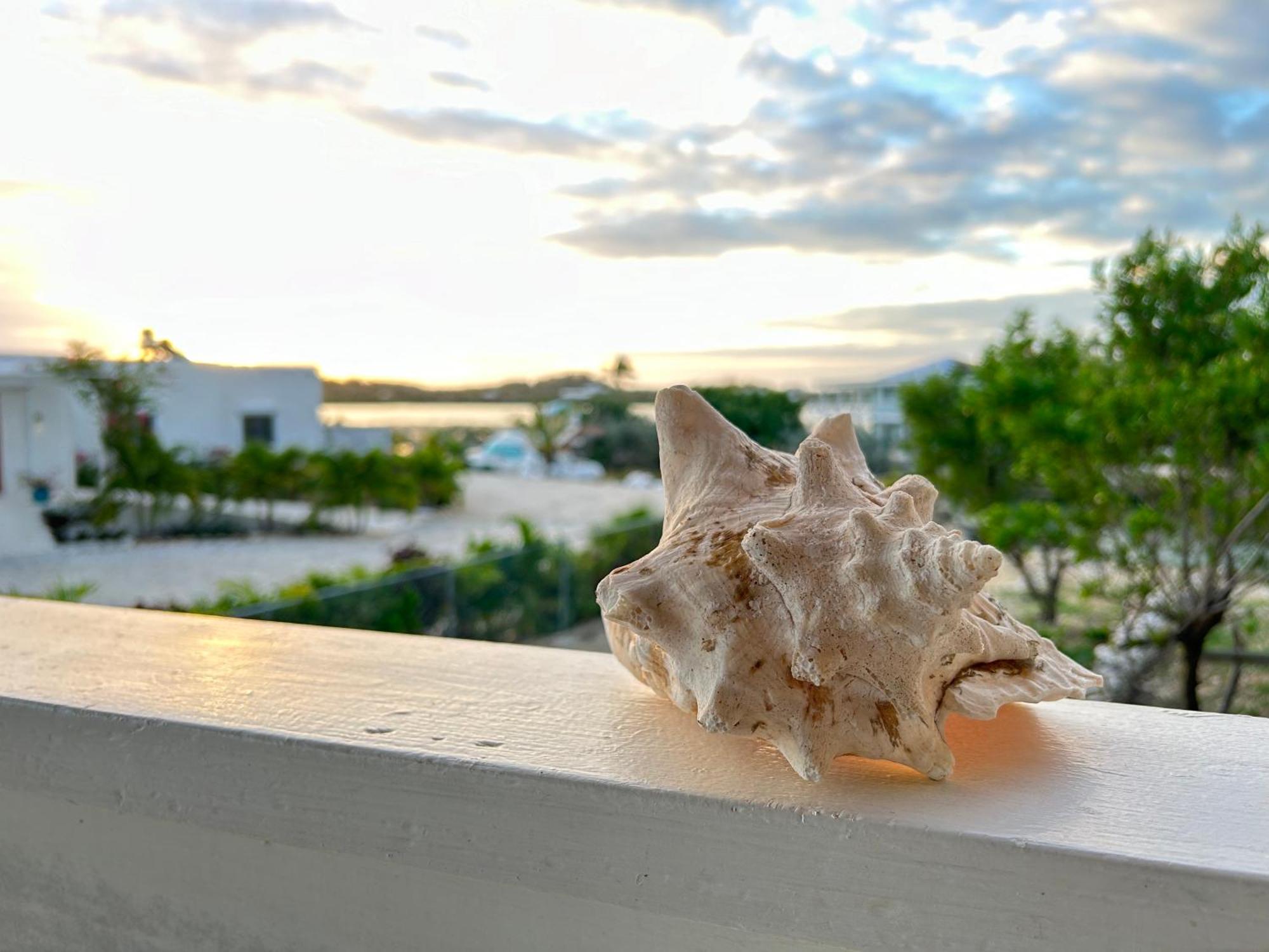 Villa Flamingo House - Turks & Caicos Turtle Cove Esterno foto